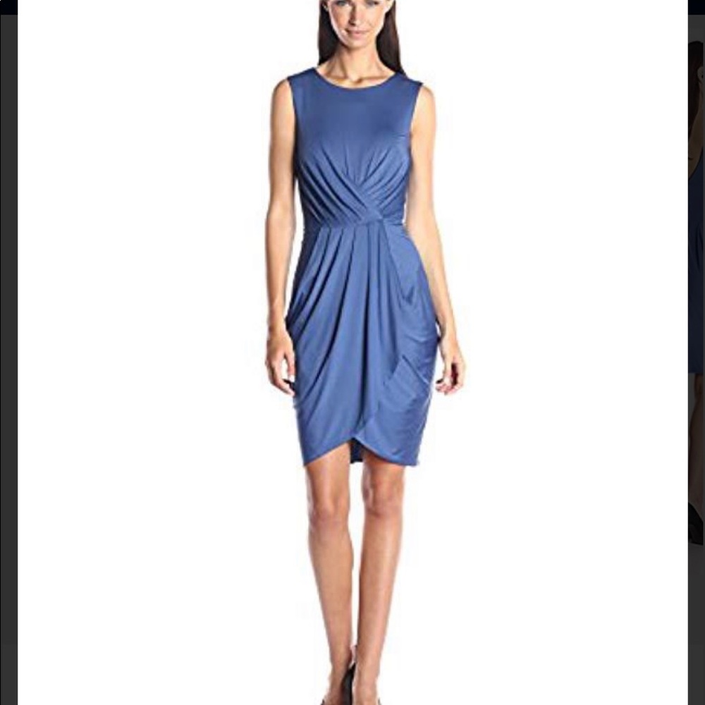 BCBGMax Azria  Kaia Pleated Front Sleeveless Dress